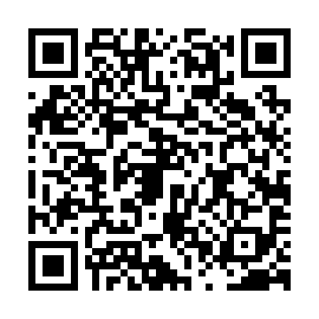 QR code for LPT2996