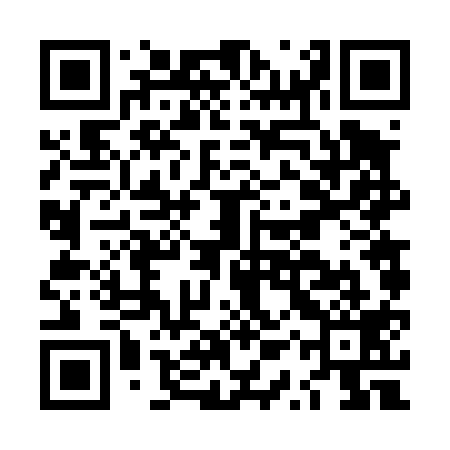QR code for LQV419