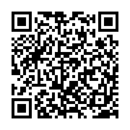 QR code for LSB313