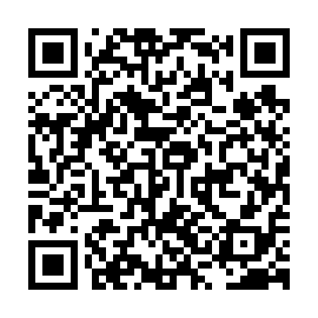 QR code for LSE618