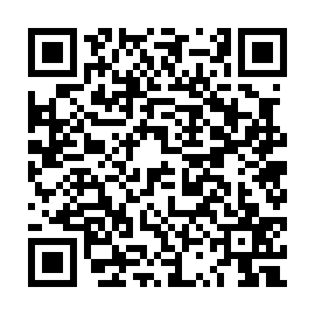 QR code for LSG0370