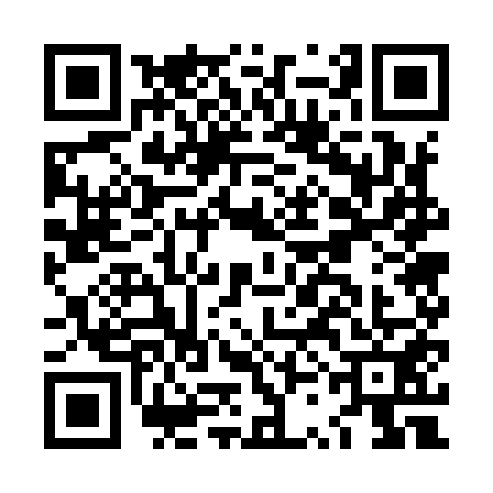 QR code for LSG9517