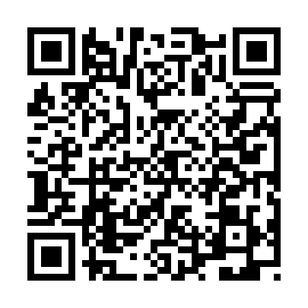 QR code for LTZ0294
