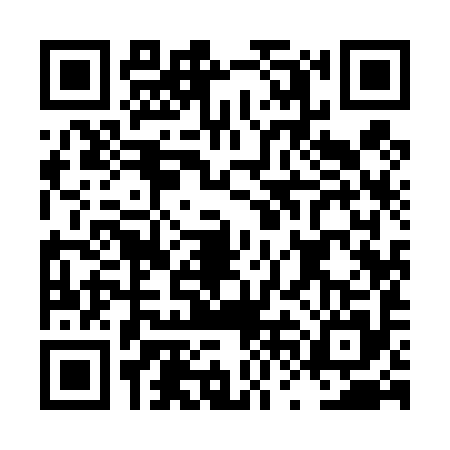 QR code for LVI4954