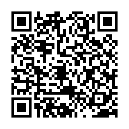 QR code for LVJ0294