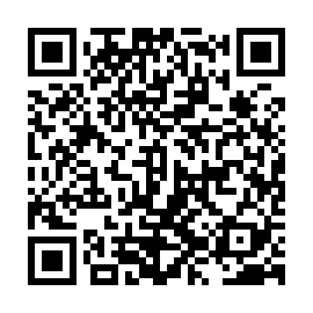 QR code for LZQ929