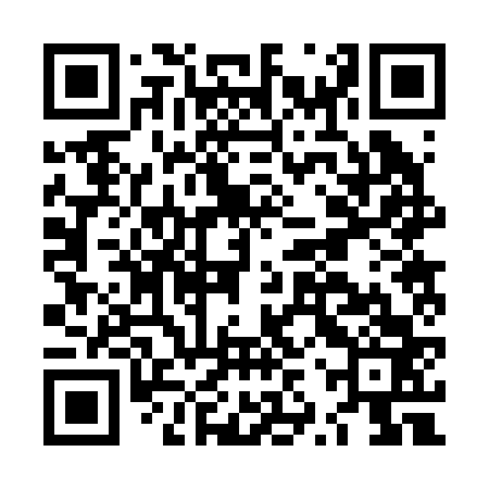 QR code for LZR263