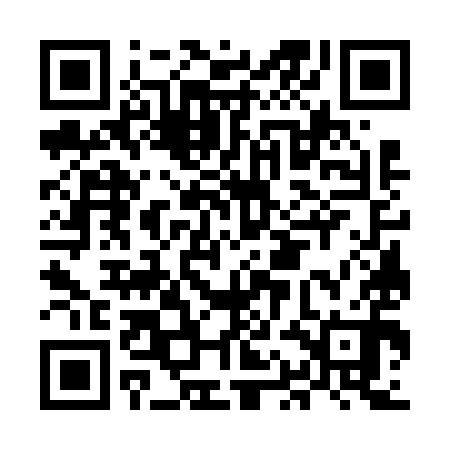 QR code for MAG690