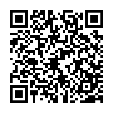 QR code for MAV2866