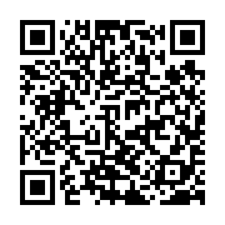 QR code for MAV698