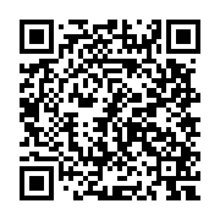QR code for MFZ541