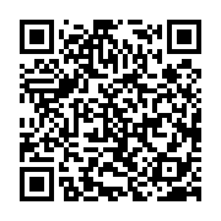 QR code for MIP538
