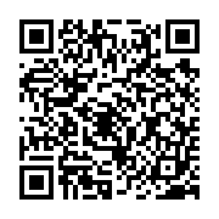 QR code for MIS6533