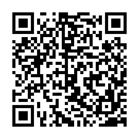 QR code for MPV216