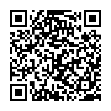 QR code for MPV297