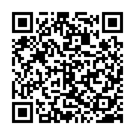 QR code for MPV378