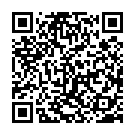 QR code for MSP538