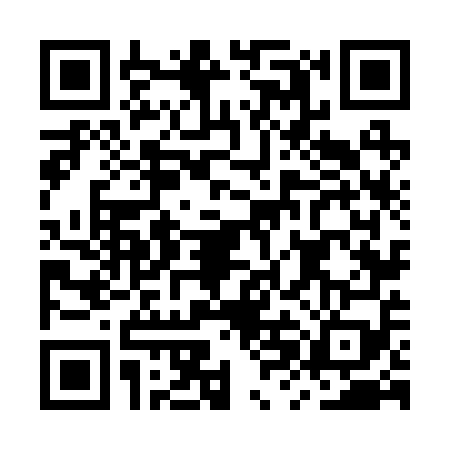 QR code for MXN2594