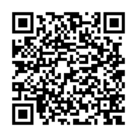 QR code for NES0591