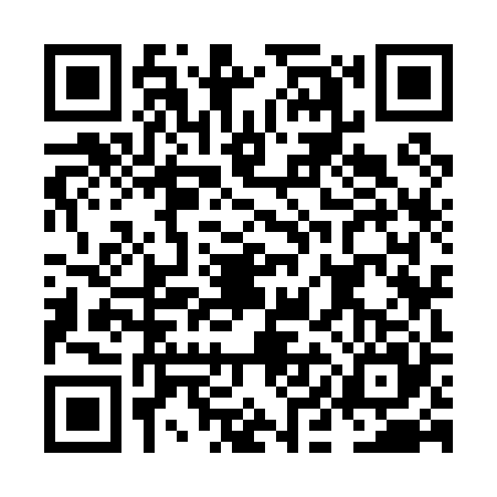 QR code for NIK0250