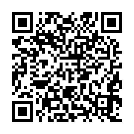 QR code for NIS953