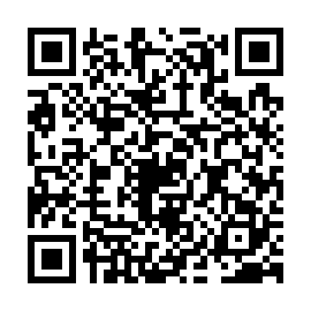 QR code for NIU7228
