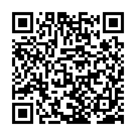 QR code for NKG393