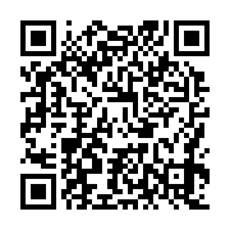 QR code for NLX379