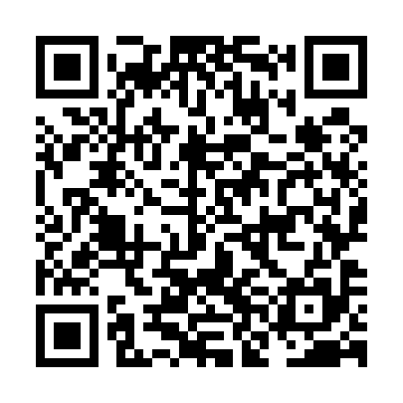 QR code for NNO595