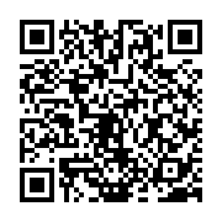 QR code for NNV8383