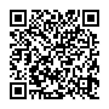 QR code for NPC339
