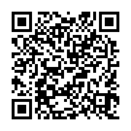 QR code for NPL341
