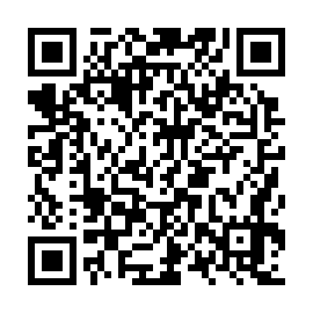 QR code for NPP377