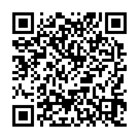 QR code for OEX313