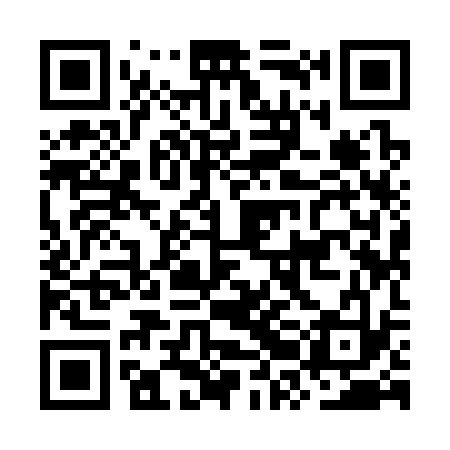 QR code for ORI333