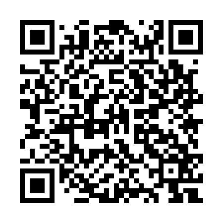 QR code for OZM166