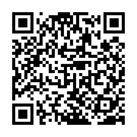 QR code for PAG528