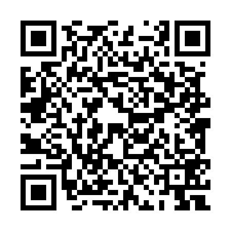 QR code for PAL5599