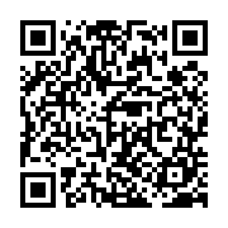 QR code for PAO545