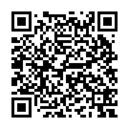 QR code for PAR228