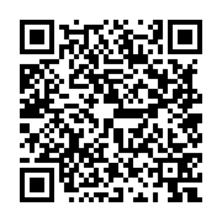 QR code for PAW8739