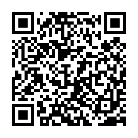 QR code for PDE493