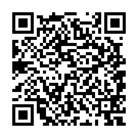 QR code for PDF0996