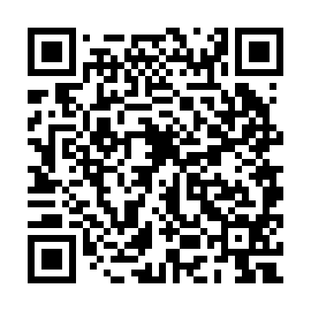 QR code for PEF294