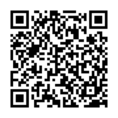 QR code for PGI317