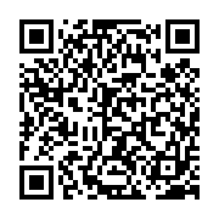 QR code for PGI413