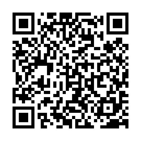 QR code for PGM495