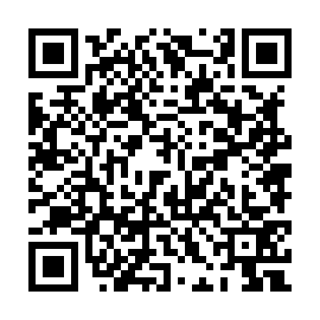 QR code for PHN8738
