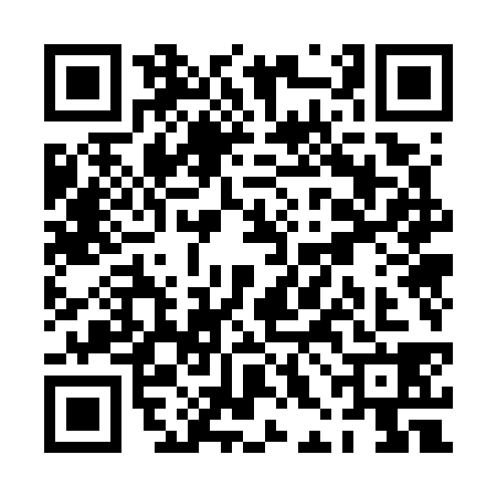 QR code for PHO7383