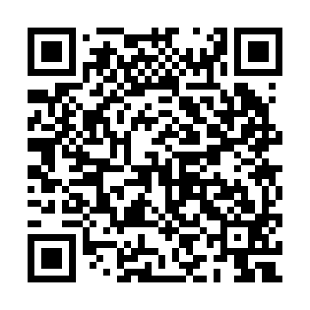QR code for PIC293